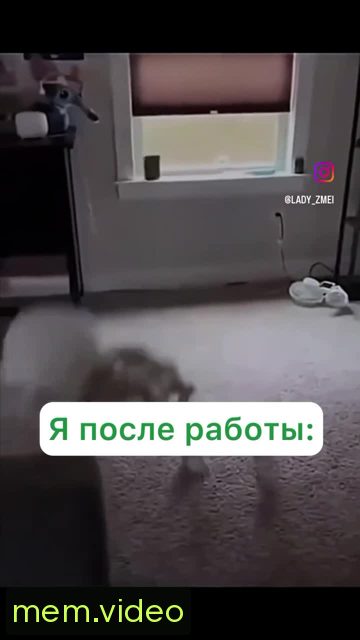 Кадр на 0:03