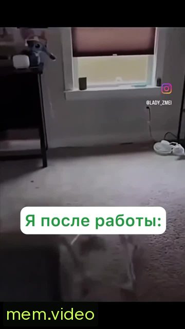 Кадр на 0:04