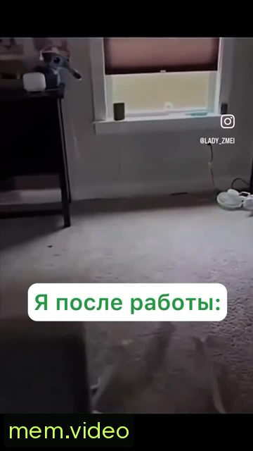 Кадр на 0:04
