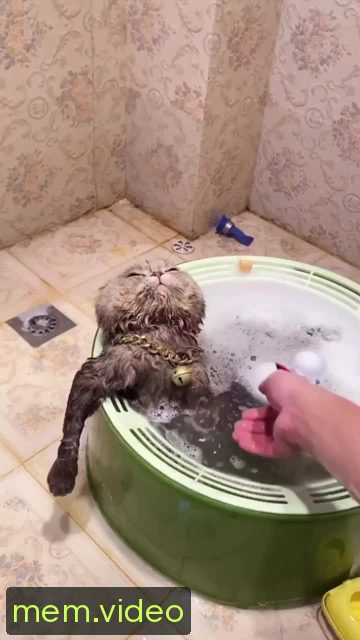 Кадр на 0:00