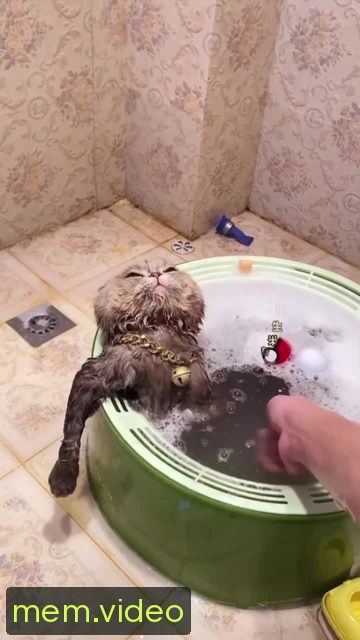 Кадр на 0:02