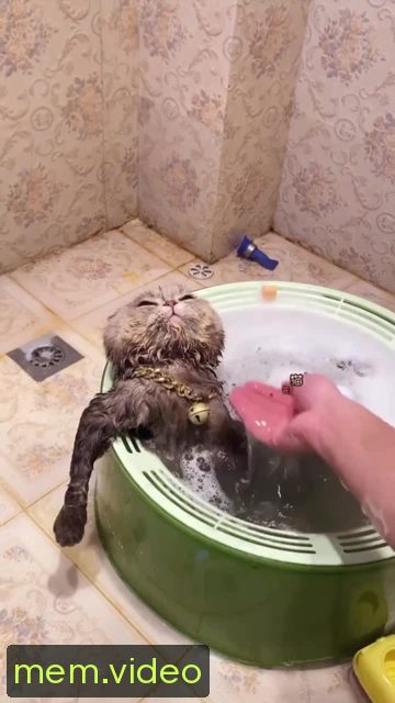Кадр на 0:05