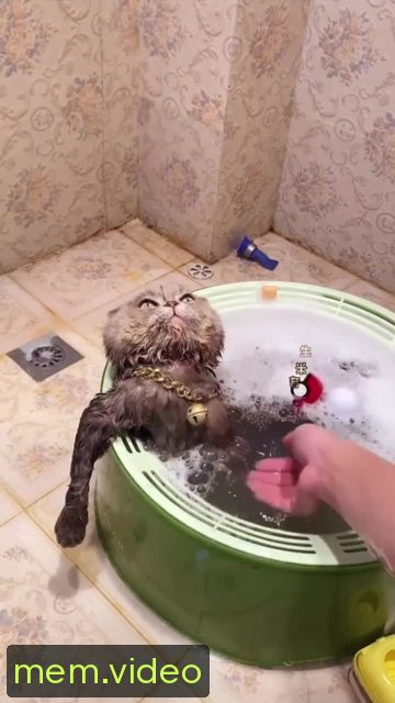 Кадр на 0:07