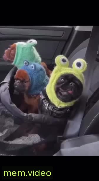 Кадр на 0:01