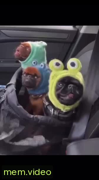 Кадр на 0:04
