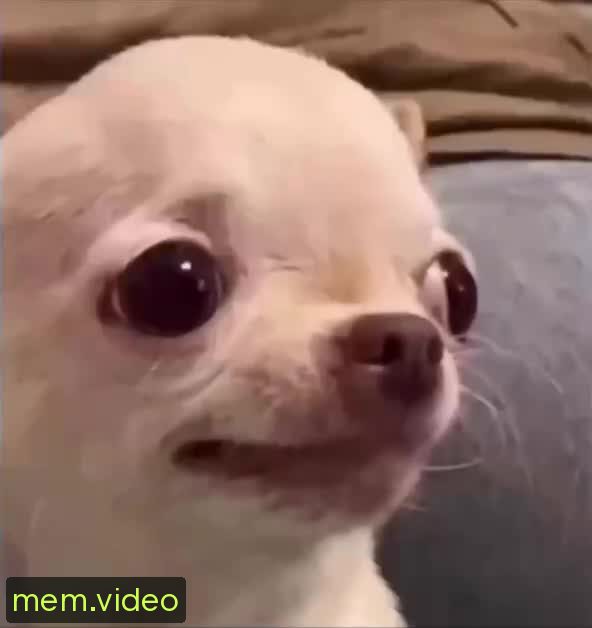 Кадр на 0:00