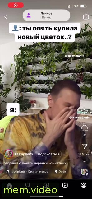 Кадр на 0:00