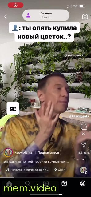 Кадр на 0:00