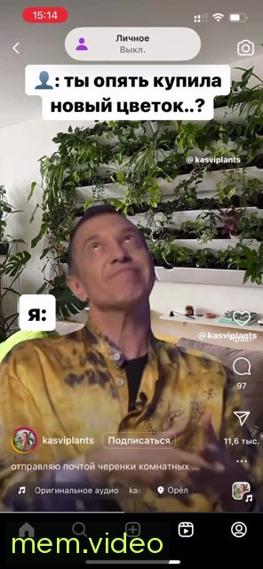 Кадр на 0:04
