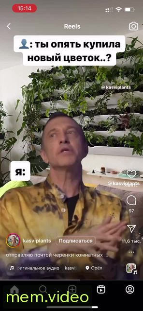 Кадр на 0:05