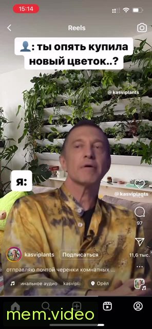 Кадр на 0:06