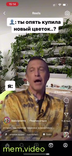 Кадр на 0:07