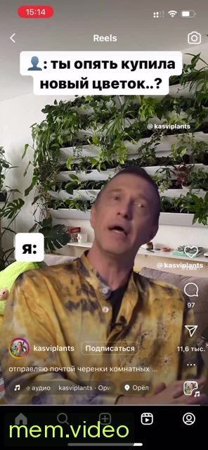 Кадр на 0:09