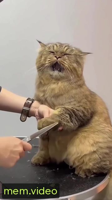 Кадр на 0:01