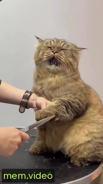 Кадр на 0:01