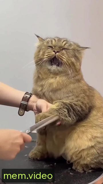 Кадр на 0:01