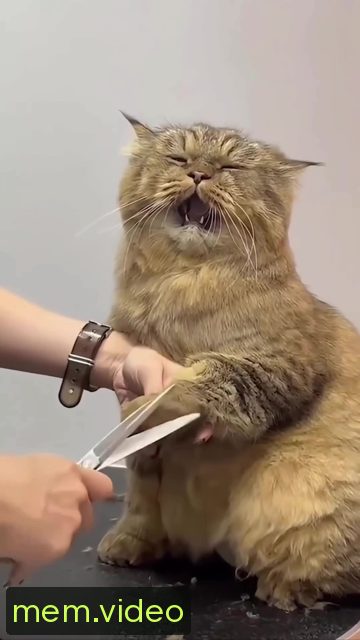 Кадр на 0:02