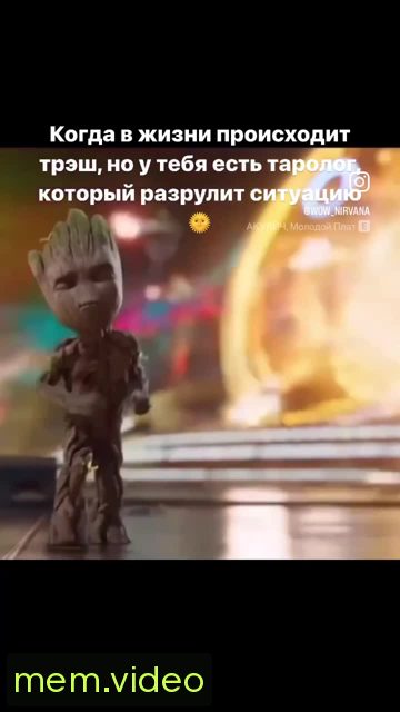 Кадр на 0:00