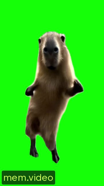 Кадр на 0:11