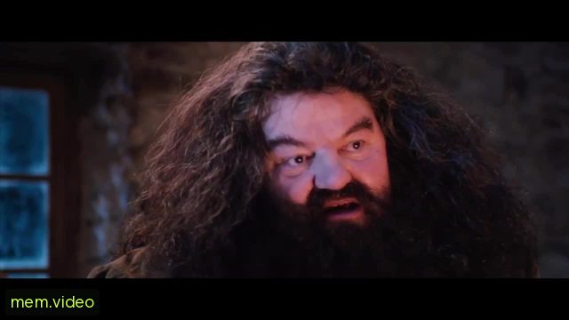 Кадр на 0:14