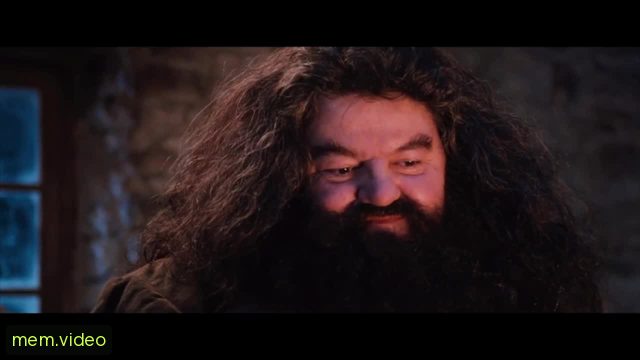 Кадр на 0:25