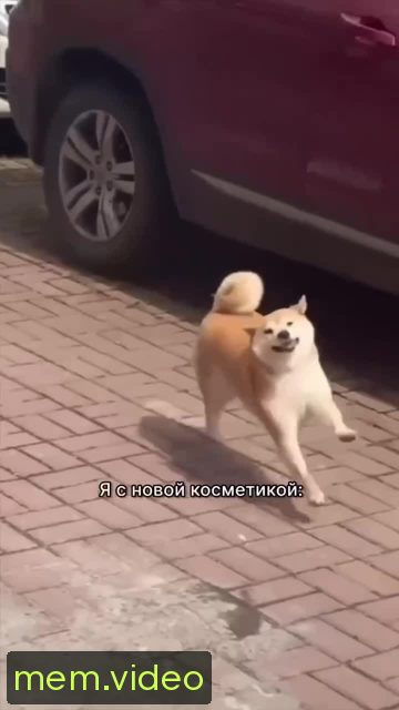 Кадр на 0:02