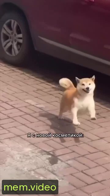 Кадр на 0:02