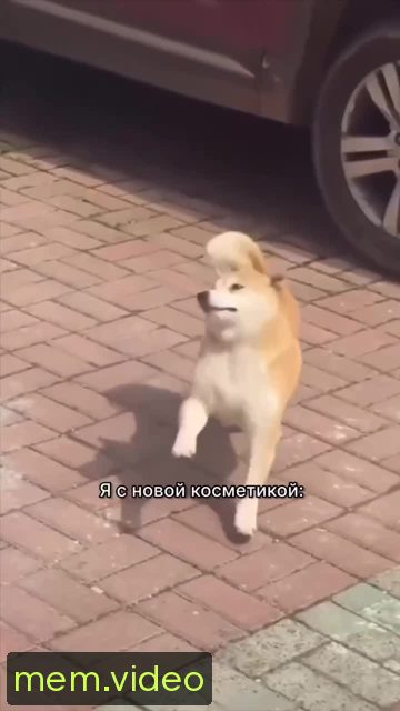 Кадр на 0:04
