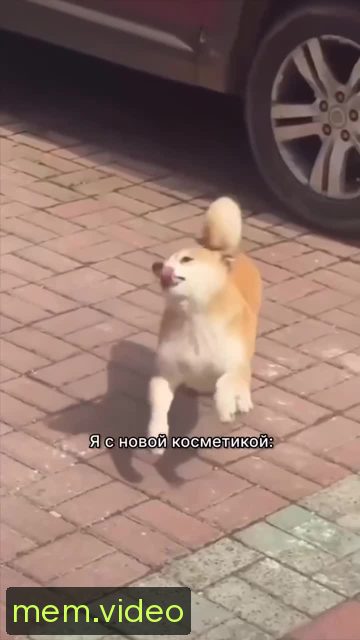 Кадр на 0:04