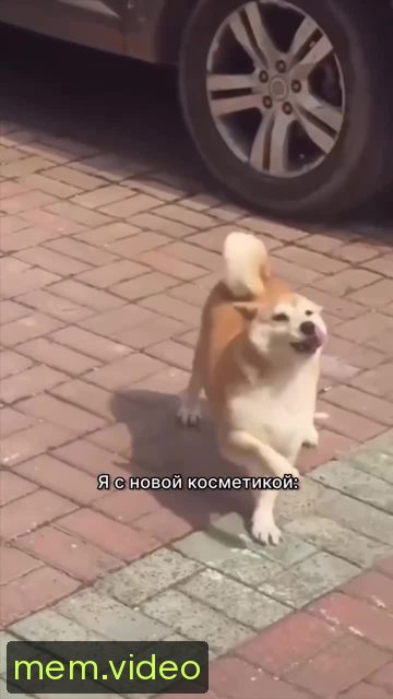 Кадр на 0:04