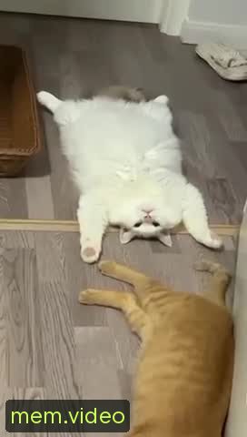 Кадр на 0:01
