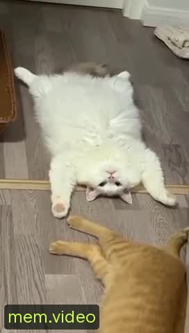 Кадр на 0:02