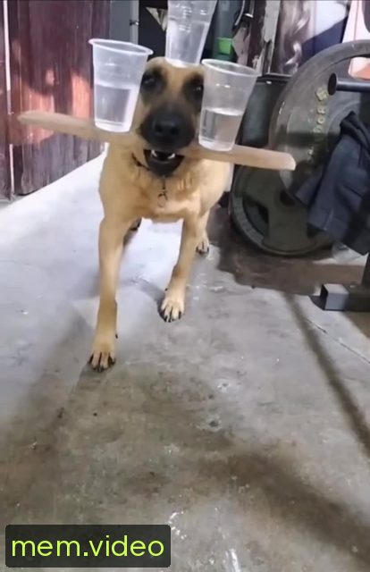 Кадр на 0:01