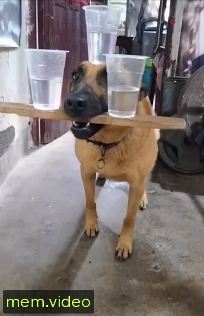 Кадр на 0:08