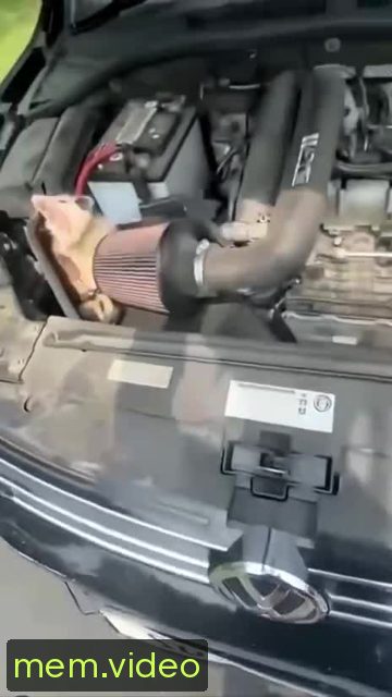 Кадр на 0:01