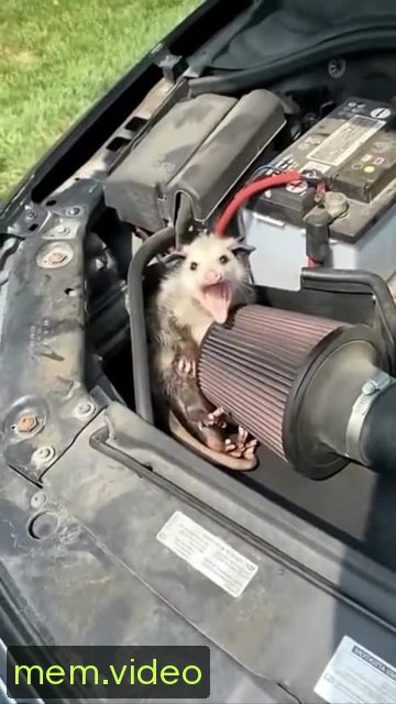 Кадр на 0:08