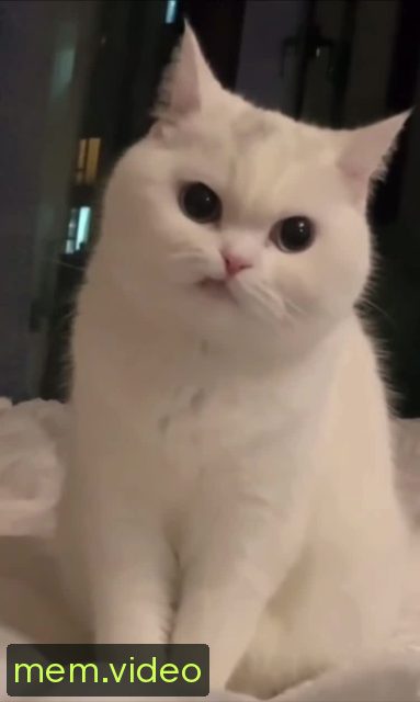 Кадр на 0:01
