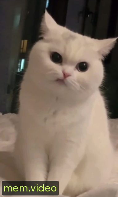 Кадр на 0:02