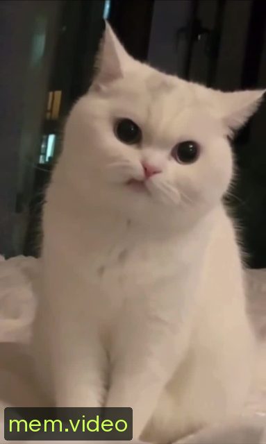 Кадр на 0:03