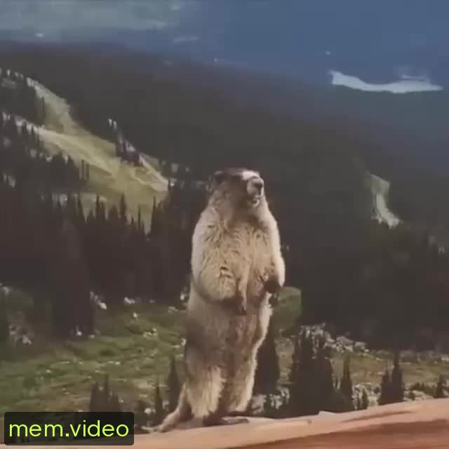 Кадр на 0:00