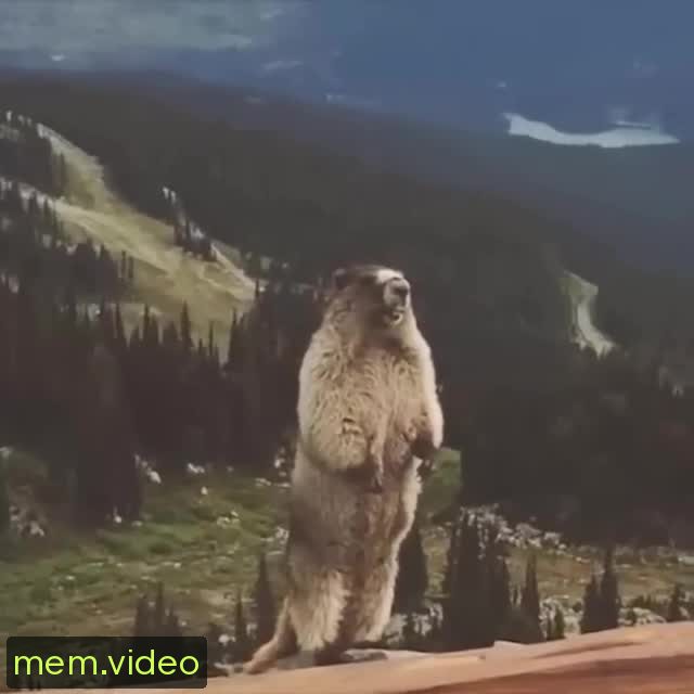 Кадр на 0:00