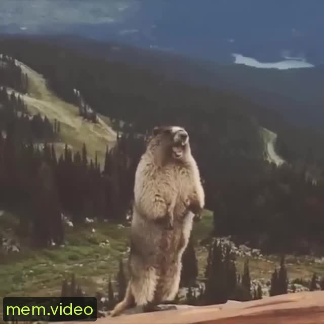 Кадр на 0:01