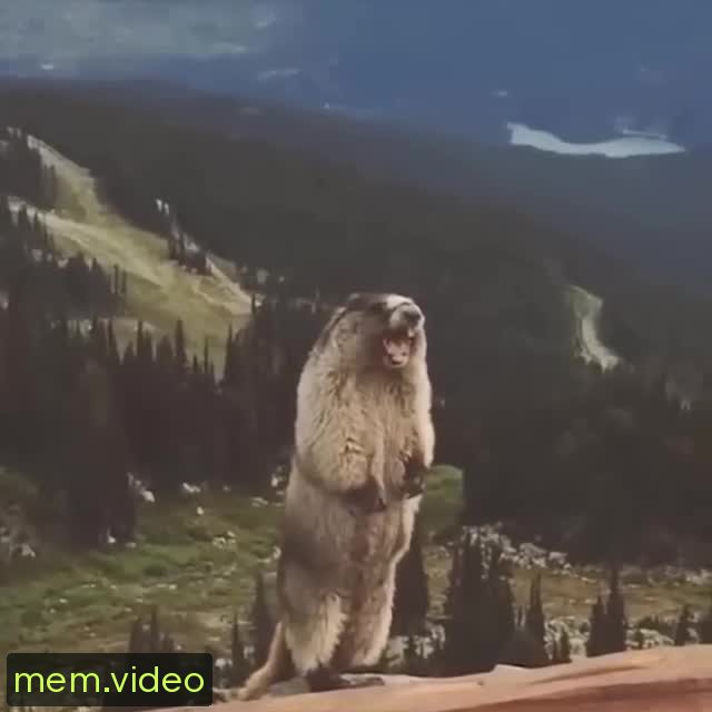 Кадр на 0:02