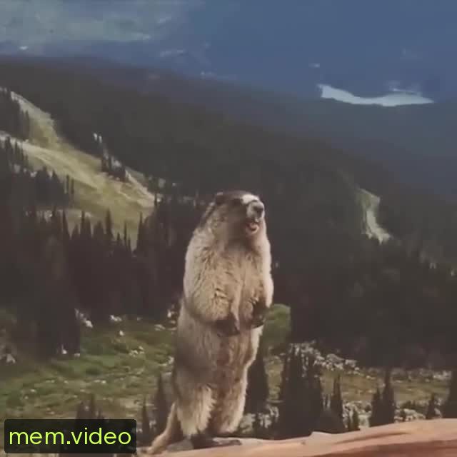 Кадр на 0:03