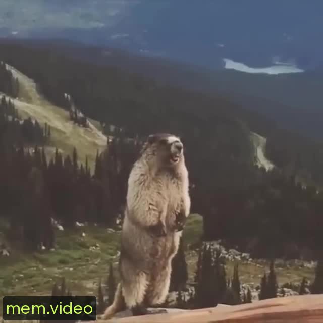 Кадр на 0:04