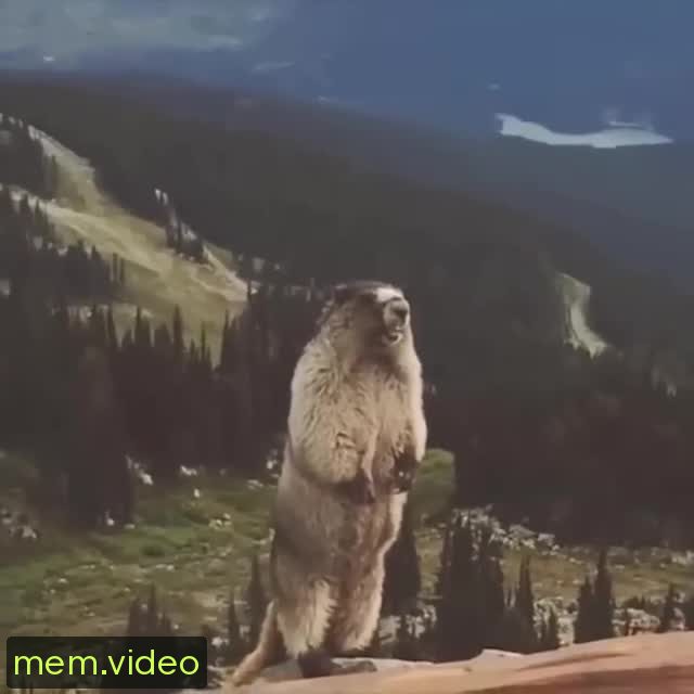Кадр на 0:05