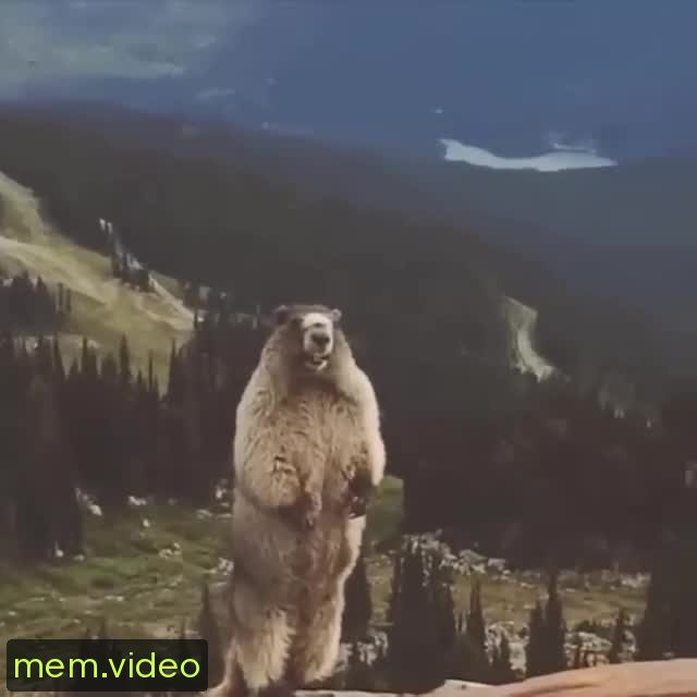 Кадр на 0:06