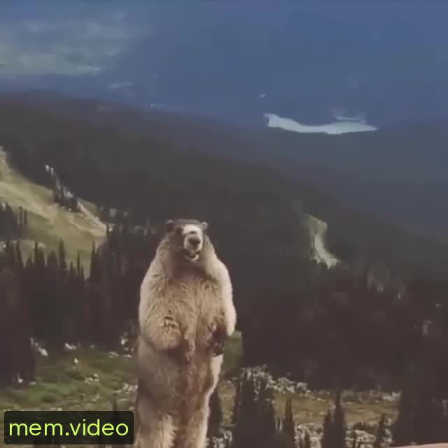 Кадр на 0:07
