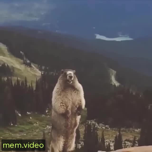 Кадр на 0:07
