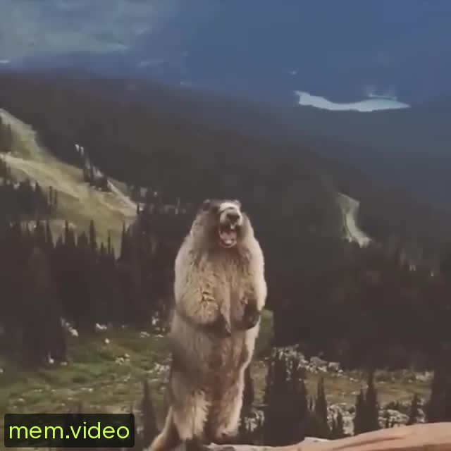Кадр на 0:08